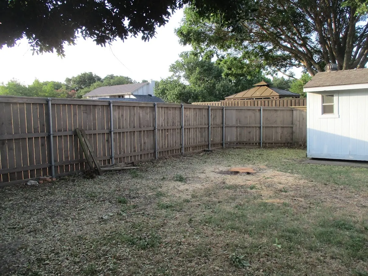 Cleared yard after professional tree removal in El Paso